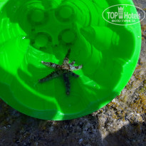 фото из отзыва ID 2018620