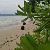 фото из отзыва ID 2018715