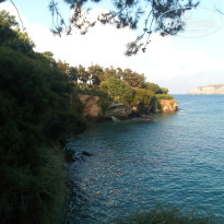 фото из отзыва ID 2018831