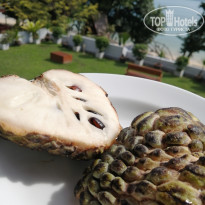 фото из отзыва ID 2018715