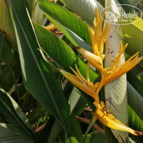 фото из отзыва ID 2018874