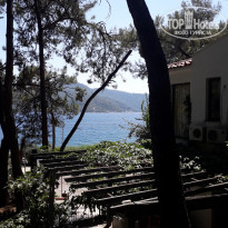 фото из отзыва ID 2013818