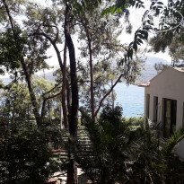 фото из отзыва ID 2013818