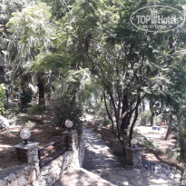 фото из отзыва ID 2013818