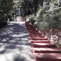 фото из отзыва ID 2013818