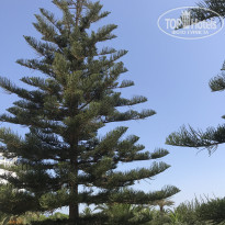 фото из отзыва ID 2018931