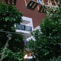 фото из отзыва ID 2019062