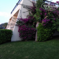 фото из отзыва ID 2019070