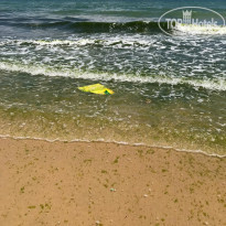 фото из отзыва ID 2014004