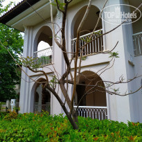 фото из отзыва ID 2019149