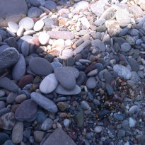 фото из отзыва ID 2019208