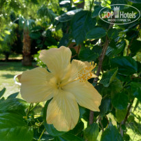 фото из отзыва ID 2019208