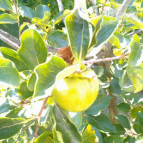 фото из отзыва ID 2019208