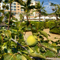 фото из отзыва ID 2019208