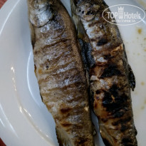 фото из отзыва ID 2019208