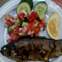 фото из отзыва ID 2019208