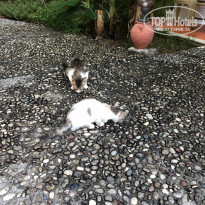 фото из отзыва ID 2016199