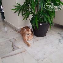 фото из отзыва ID 2019341