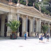 фото из отзыва ID 2019334