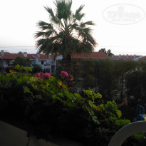 фото из отзыва ID 2019280