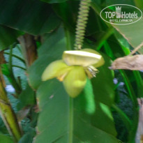 фото из отзыва ID 2019280