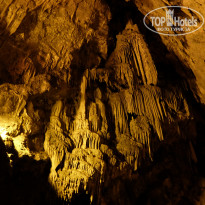 фото из отзыва ID 2019356