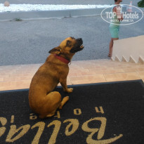 фото из отзыва ID 2019280