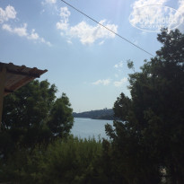 фото из отзыва ID 2019541