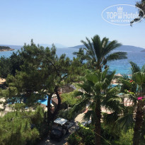 фото из отзыва ID 2019539