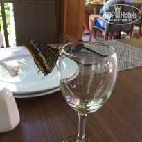 фото из отзыва ID 2019539