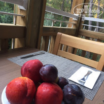 фото из отзыва ID 2019539