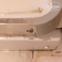 фото из отзыва ID 2019573