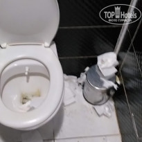 фото из отзыва ID 2019573