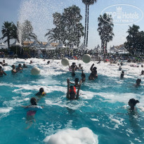 фото из отзыва ID 2018631