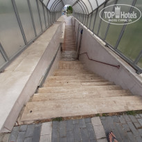 фото из отзыва ID 2019606