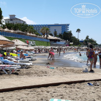 фото из отзыва ID 2019606