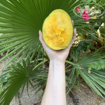 фото из отзыва ID 2019714