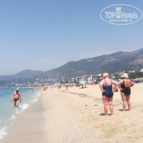 фото из отзыва ID 2019736