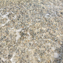 фото из отзыва ID 2017317