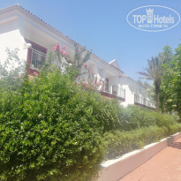 фото из отзыва ID 2019726