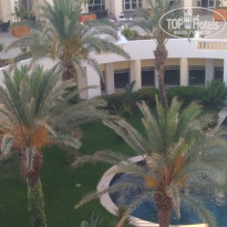 фото из отзыва ID 2019881