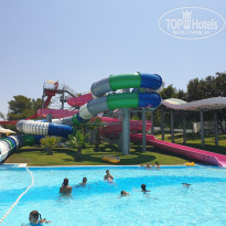 фото из отзыва ID 2019879