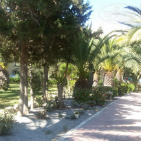 фото из отзыва ID 2019866