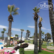 фото из отзыва ID 2019921