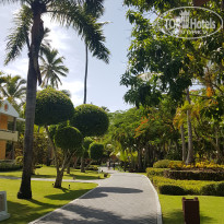 фото из отзыва ID 2019052