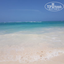 фото из отзыва ID 2019052