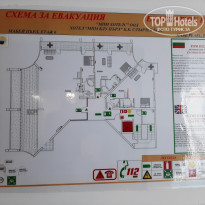 фото из отзыва ID 2019927