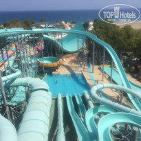 фото из отзыва ID 2019816