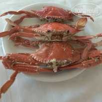 фото из отзыва ID 2017933