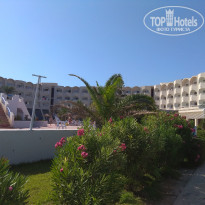 фото из отзыва ID 2017933